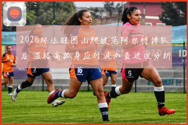 2026环法旺图山爬坡范阿尔特掉队后 温格高孤身应对波加查进攻分析