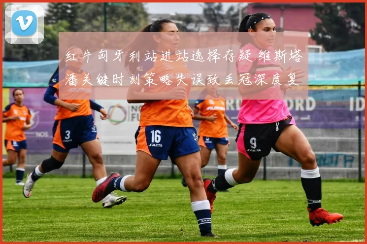 红牛匈牙利站进站选择存疑 维斯塔潘关键时刻策略失误致丢冠深度复盘