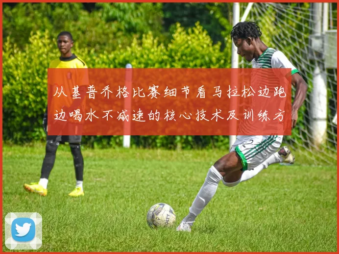 从基普乔格比赛细节看马拉松边跑边喝水不减速的核心技术及训练方法